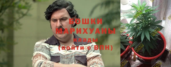ГАЛЛЮЦИНОГЕННЫЕ ГРИБЫ Михайловка