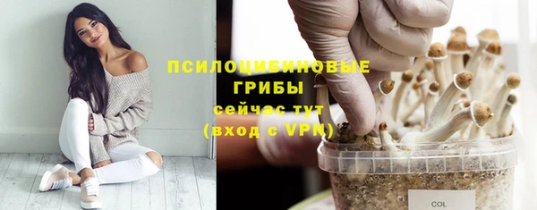 ГАЛЛЮЦИНОГЕННЫЕ ГРИБЫ Михайловка