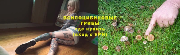a pvp Михайловск