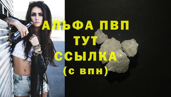 хмурый Михайлов