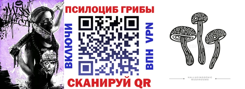 Галлюциногенные грибы Psilocybe  Купить закладки  Ак-Довурак 
